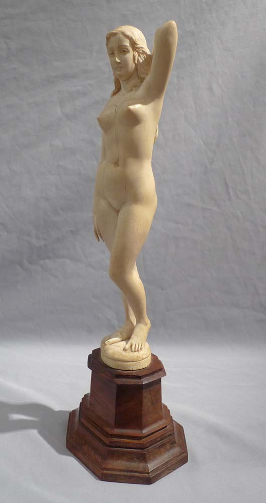 An early 20th century ivory nude on shaped wooden base.