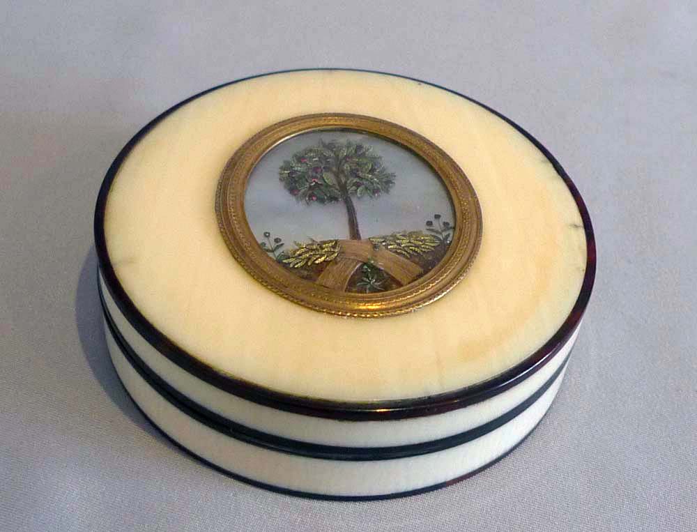 Antique George III ivory and tortoiseshell box with apple tree on mother-of-pearl background.