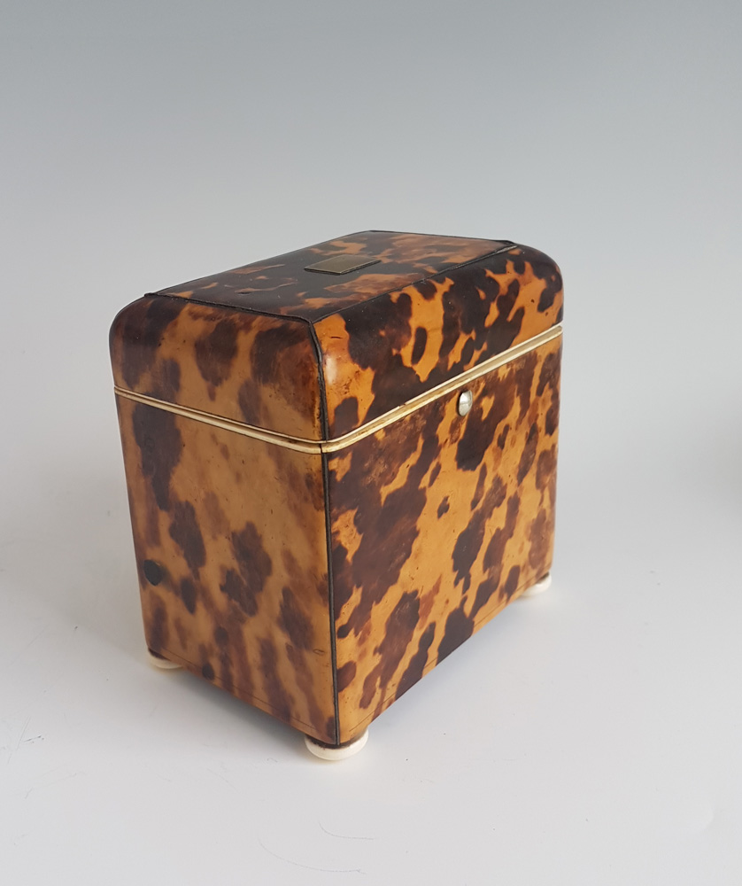 Antique Tortoiseshell and Ivory Tea Caddy