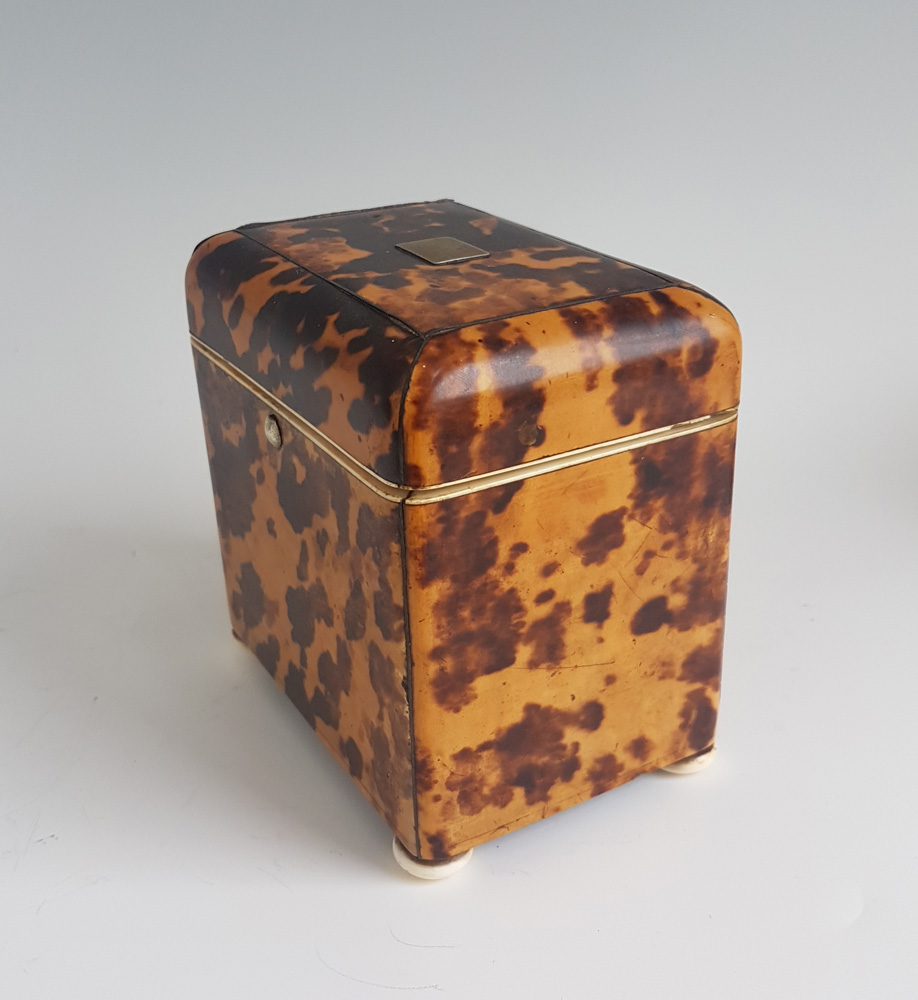 Antique Tortoiseshell and Ivory Tea Caddy
