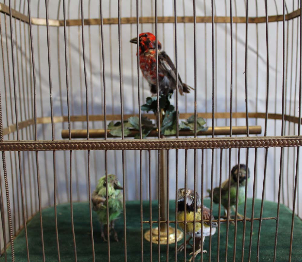 Antique and rare singing bird cage with four working and singing automaton birds by Bontems of Paris
