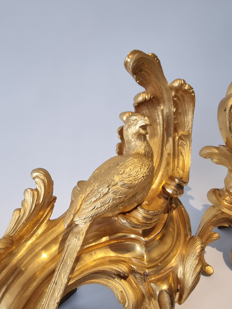 Pair 18th century Louis XVth ormolu chenets with parrots